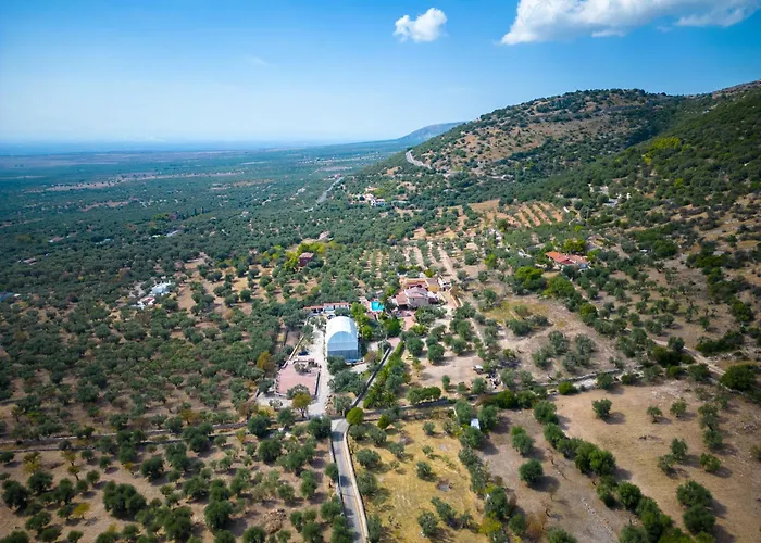 Le Cese Bed & Breakfast